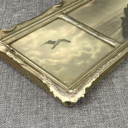 Antique Framed Art Seagull on the Coastline (Real Photos) - READ