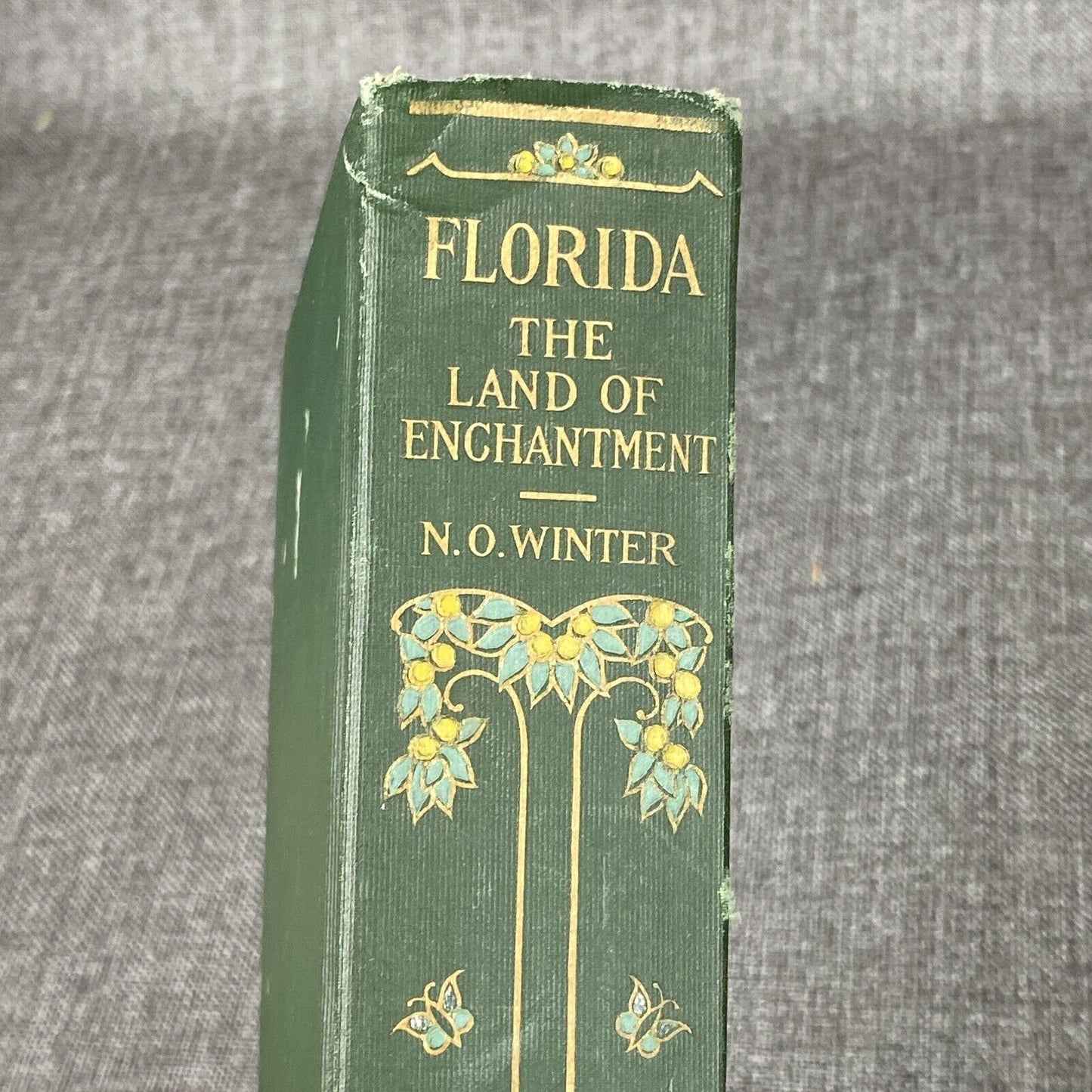 FLORIDA The Land of Enchantment by Nevin Winter, 1918 First Impression