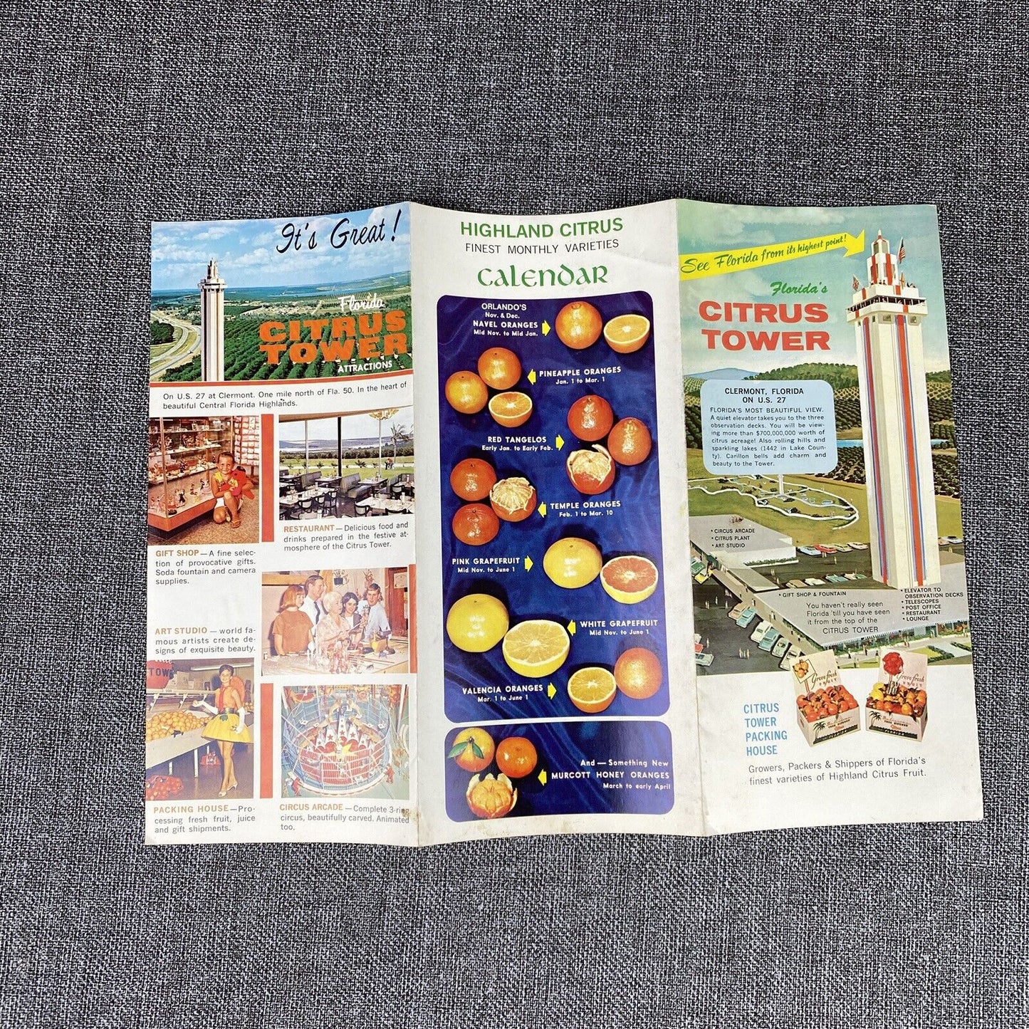 Vintage Travel Brochure Florida Citrus Tower US 27