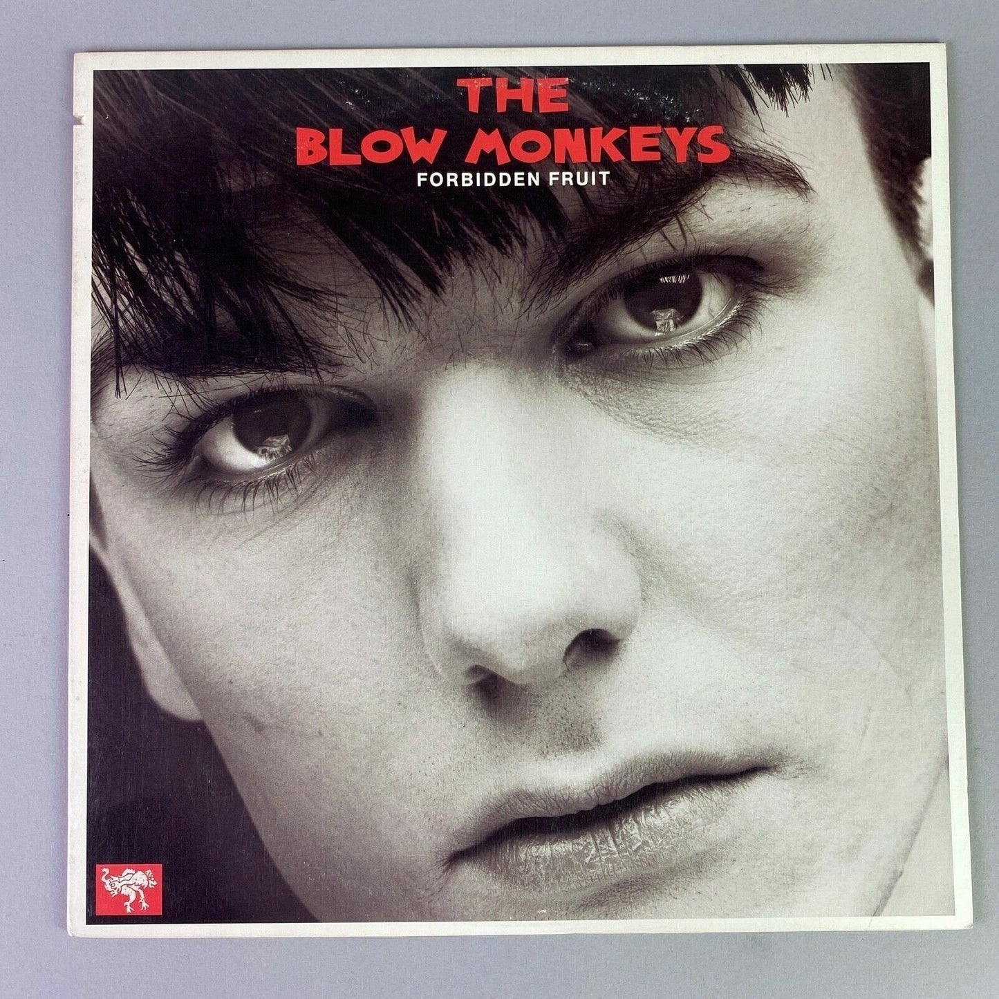 The Blow Monkeys Forbidden Fruit PROMO Vinyl LP Record Album RCA 1985