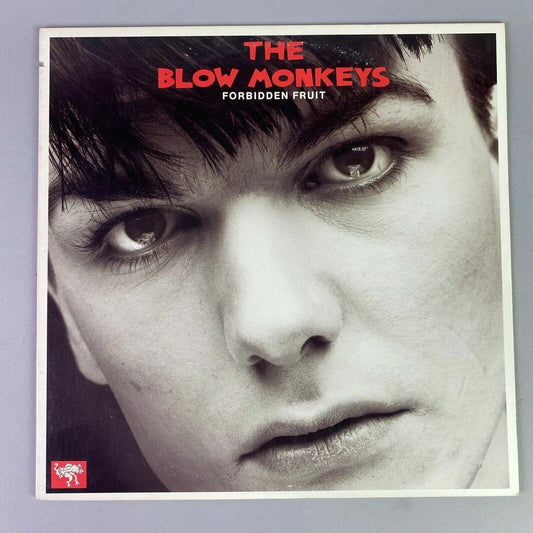 The Blow Monkeys Forbidden Fruit PROMO Vinyl LP Record Album RCA 1985