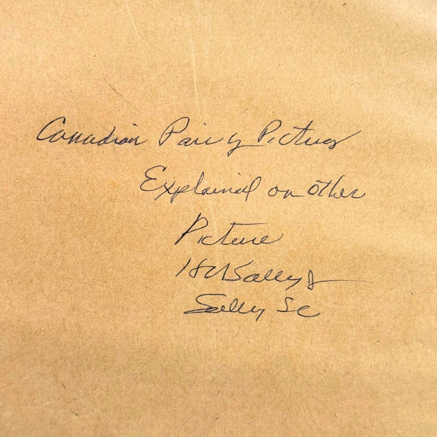 Vintage Framed Pair of Children Winter Skating Prints Gold Frame Blue Mat 12x14"