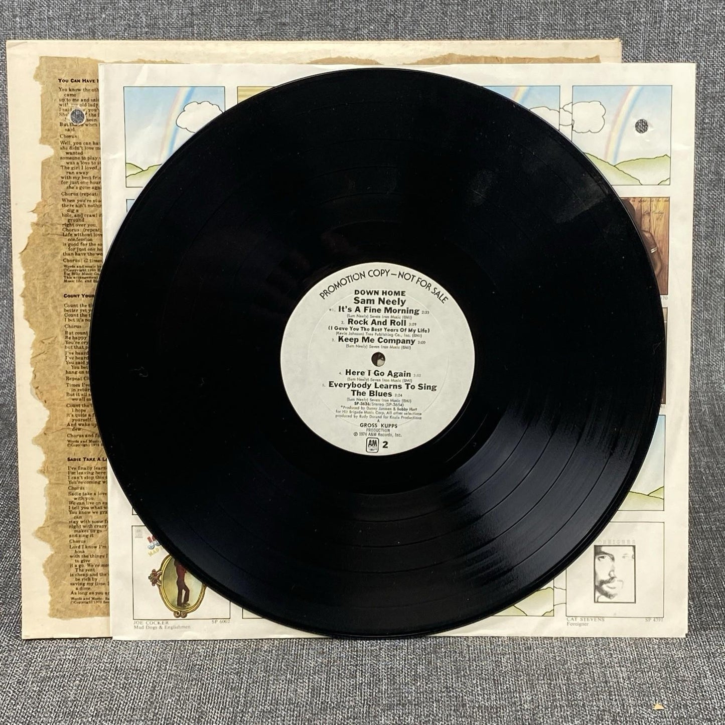 SAM NEELY Down Home Promotional LP Vinyl Record 1974