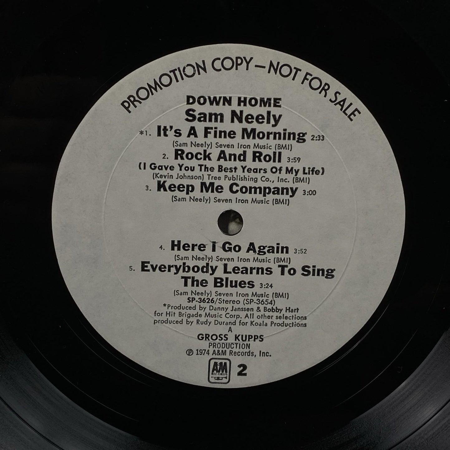 SAM NEELY Down Home Promotional LP Vinyl Record 1974