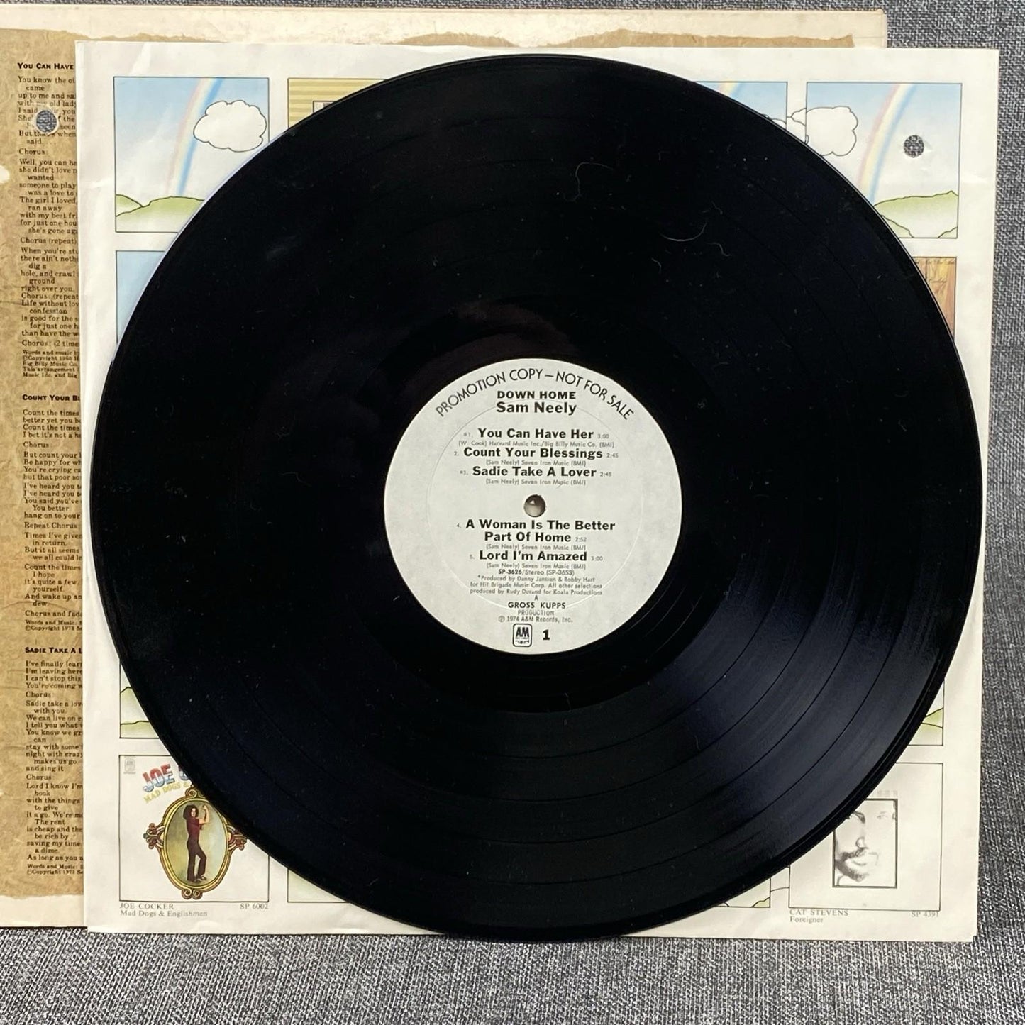 SAM NEELY Down Home Promotional LP Vinyl Record 1974