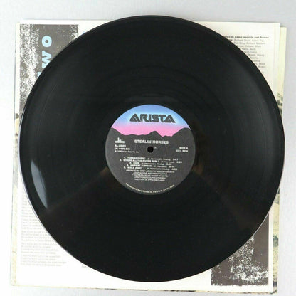 Stealin Horses Vinyl Record LP Album 1988 Arista AL 8520 Promo