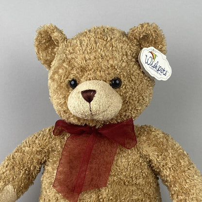 Wishpets Plush Bear 'Kelsey' Wish Pets Fluffy Plush Stuffed Toy 18"