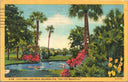 Vintage Postcard 'Lily Pond, Lake Eola, Orlanda, Florida'