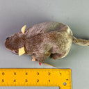 Vintage TY The Original Beanie Baby Tiptoe Mouse Plush with Tags , 6"