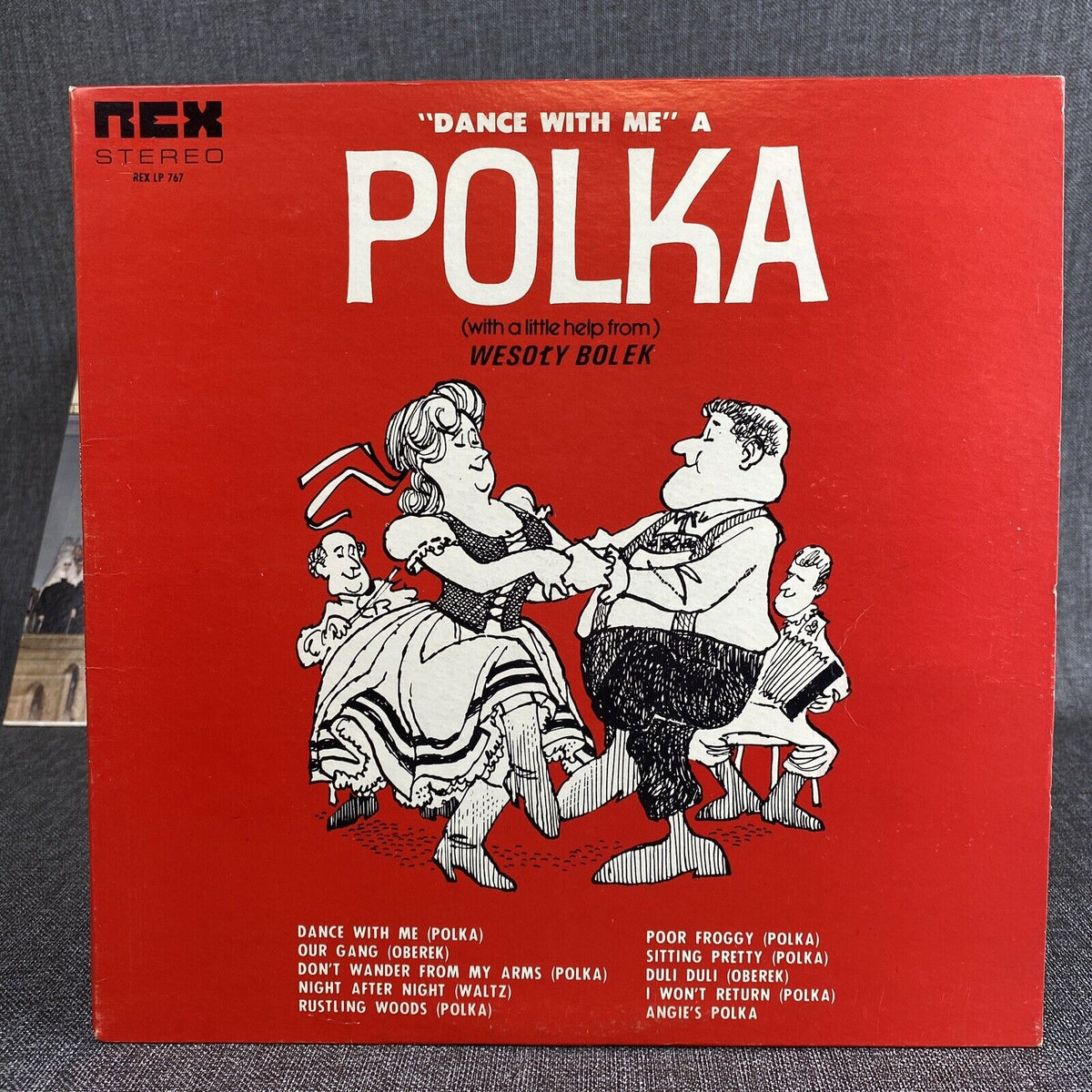 VINTAGE LOT OF 14 Assorted 33rpm VINYL Polish POLKA Records