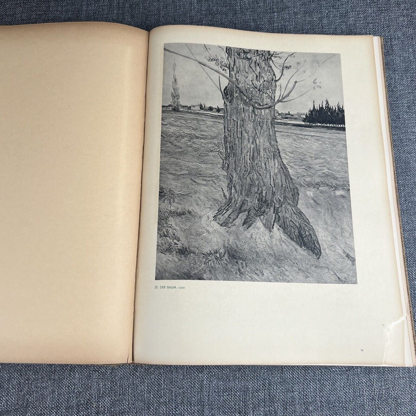 Vincent Van Gogh Phaidon Book Art Paintings & Drawings Austria , German 1936