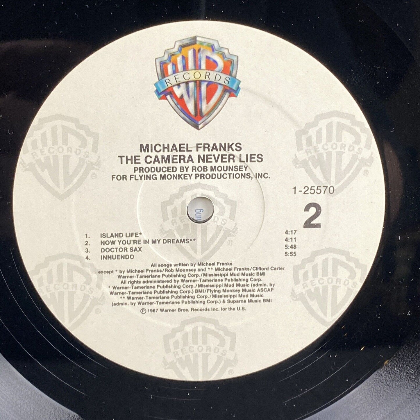 Michael Franks The Camera Never Lies , Promotional Vinyl Record 1987