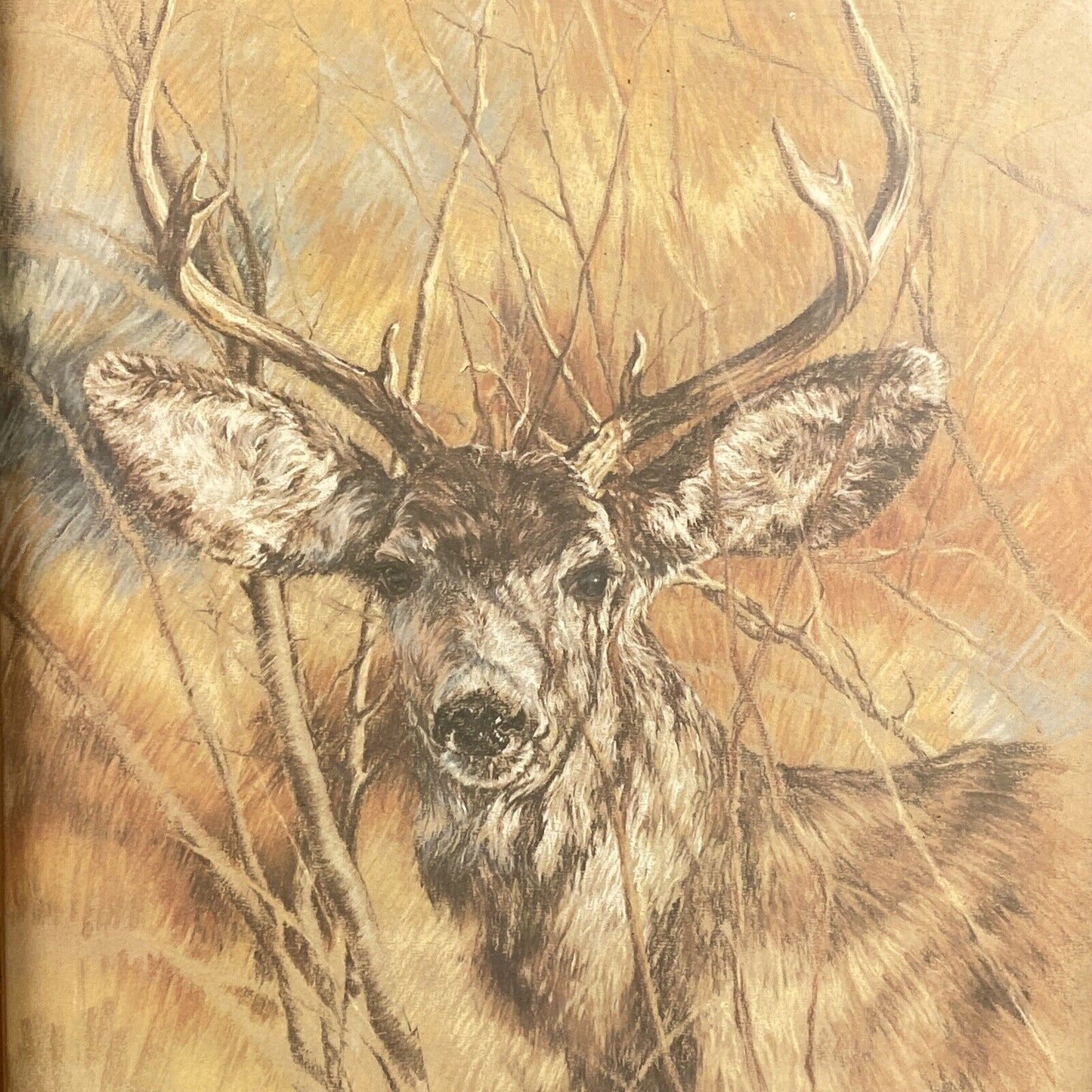 The Silent Buck K Maroon Deer Litho 1978 Wood Framed Wall 24.5x30 3/8”