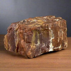 Petrified Wood 6" , 3.6 lbs