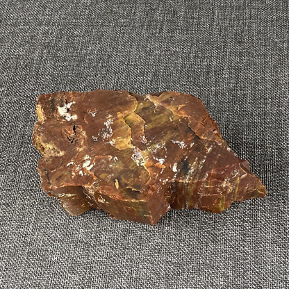 Petrified Wood 6" , 3.6 lbs