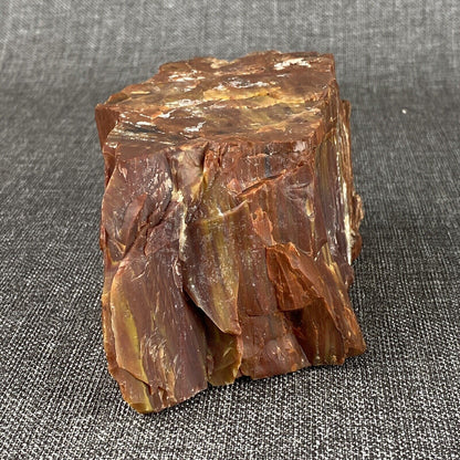 Petrified Wood 6" , 3.6 lbs