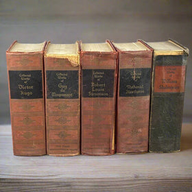 Lot - The Complete Works of Various Writers, Shakespeare, Victor Hugo, and more