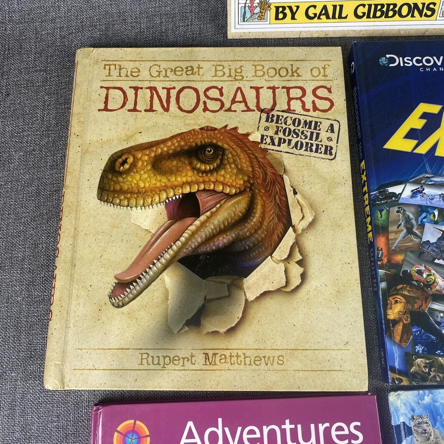 Lot Of 5 Assorted Children's Books - Animals, Dinosaurs, Discovery