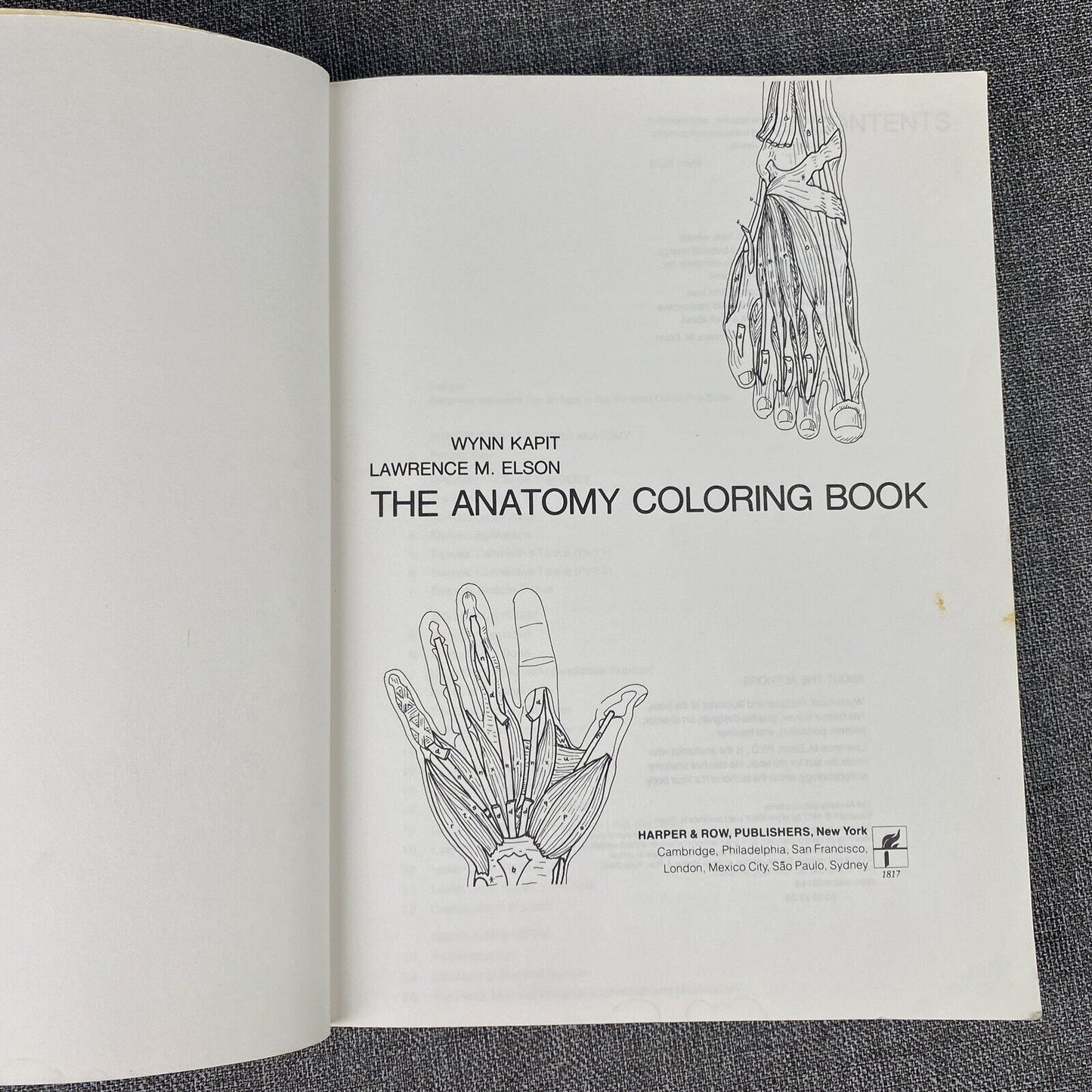 The Anatomy : Coloring Book by Lawrence M. Elson and Wynn Kapit 1997