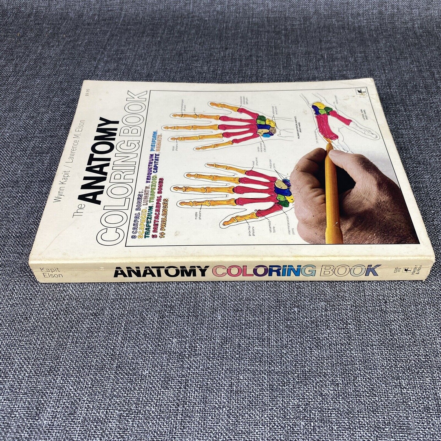 The Anatomy : Coloring Book by Lawrence M. Elson and Wynn Kapit 1997