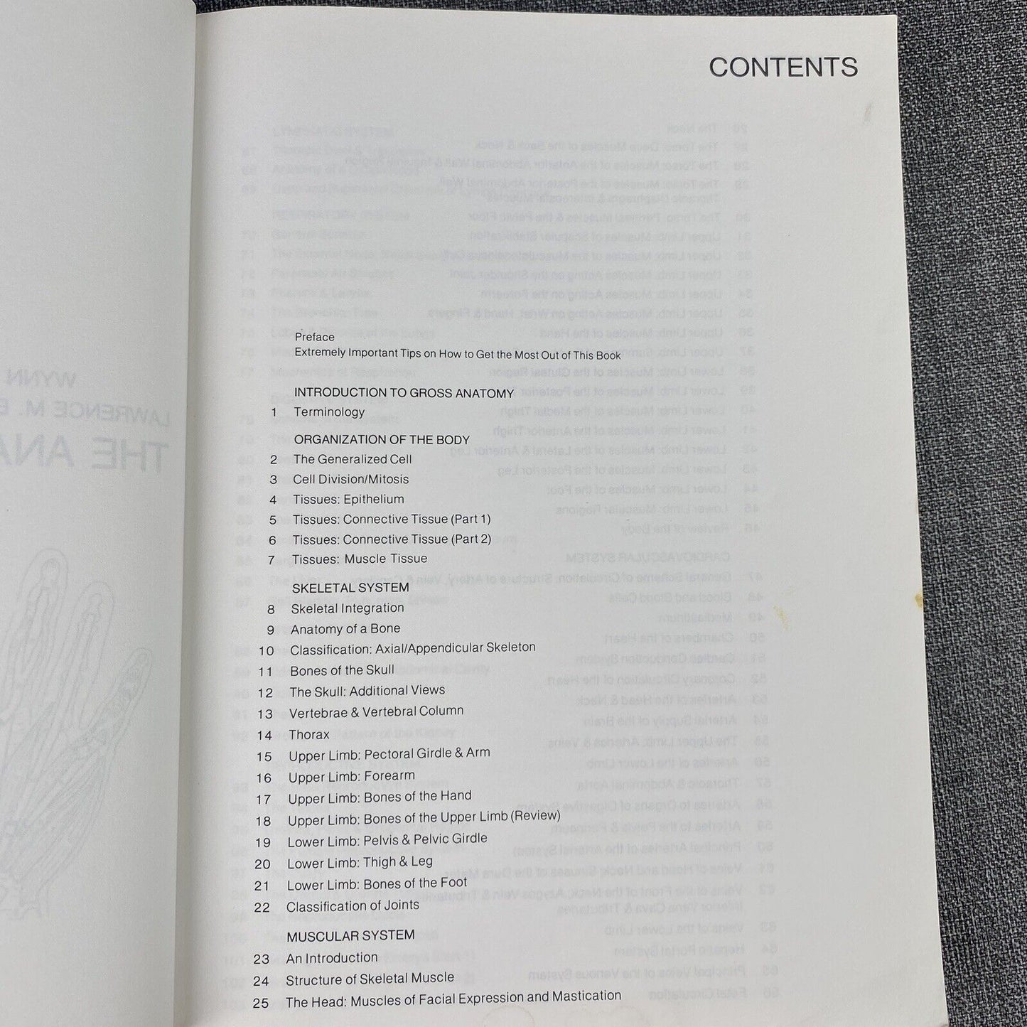 The Anatomy : Coloring Book by Lawrence M. Elson and Wynn Kapit 1997