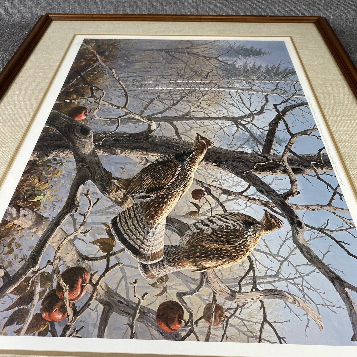 Abandoned Orchard-Ruffed Grouse Print by David A. Mass SIGNED, Wild Wings 34x27"