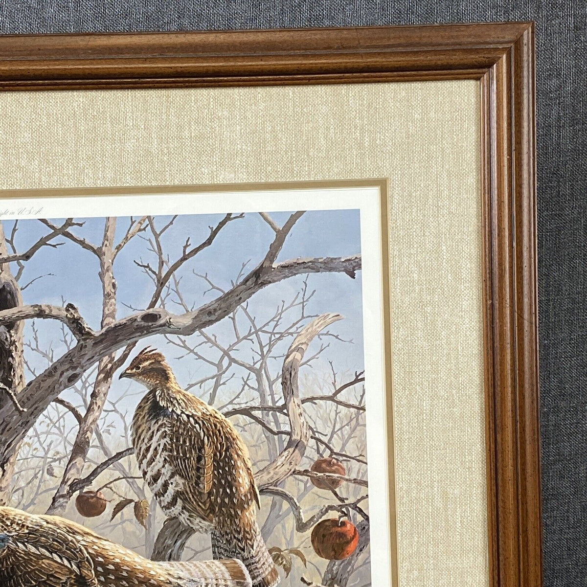 Abandoned Orchard-Ruffed Grouse Print by David A. Mass SIGNED, Wild Wings 34x27"