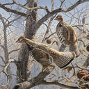 Abandoned Orchard-Ruffed Grouse Print by David A. Mass SIGNED, Wild Wings 34x27"