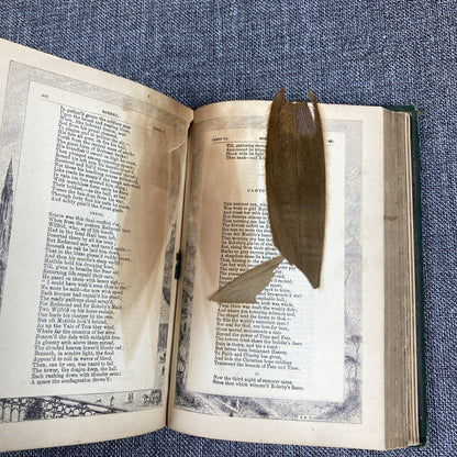 Antique Sir Walter Scott's Poetical Works Gall & Inglis Landscape Edition Rare