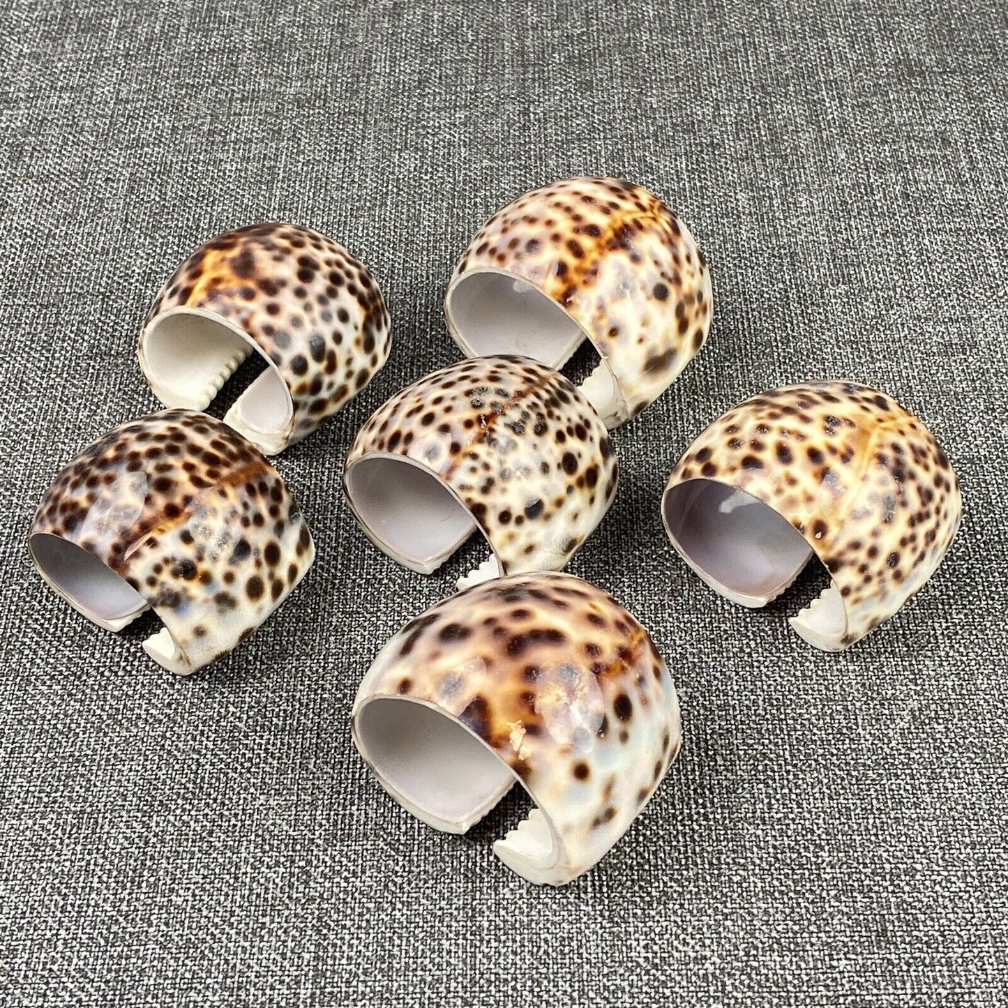 Set of 6 Vintage Napkin Rings Holders Tiger Cowrie Shell