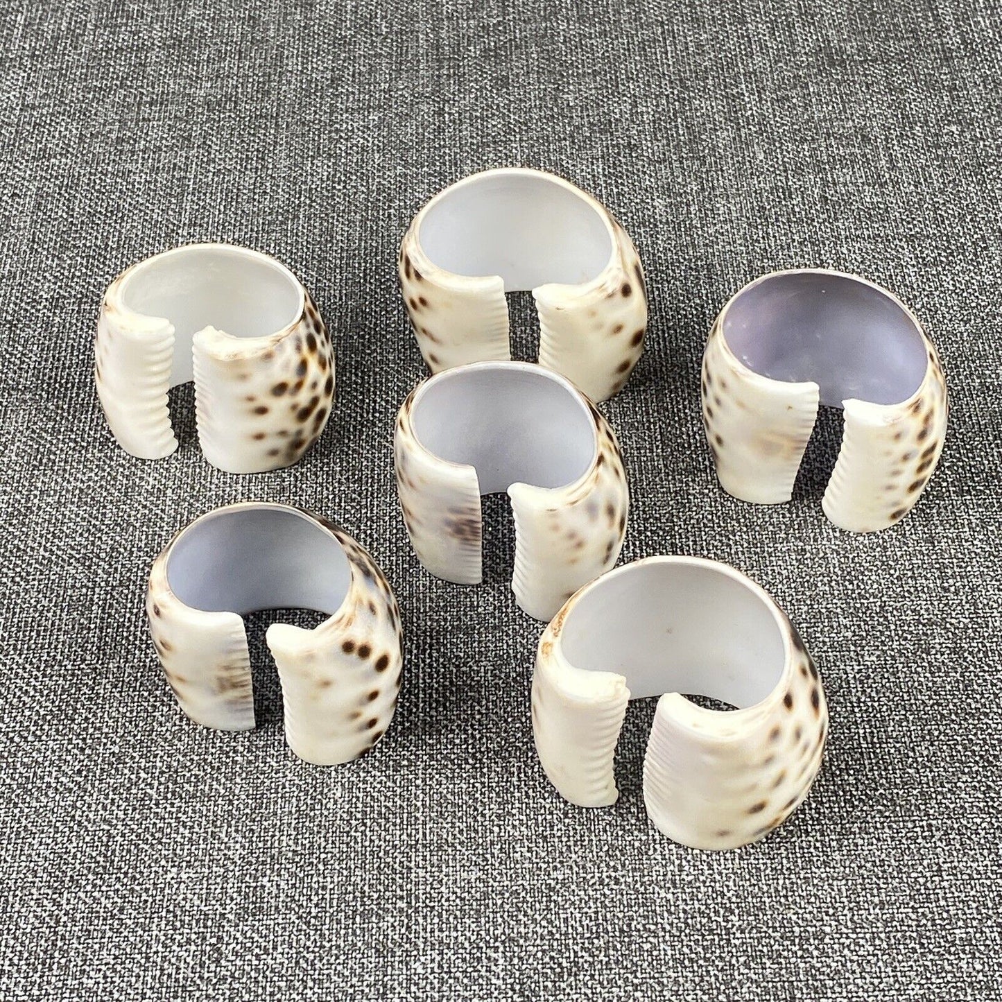 Set of 6 Vintage Napkin Rings Holders Tiger Cowrie Shell