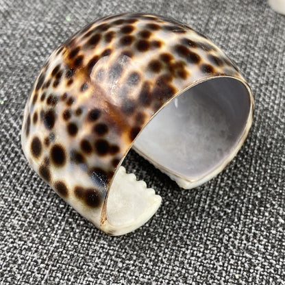 Set of 6 Vintage Napkin Rings Holders Tiger Cowrie Shell