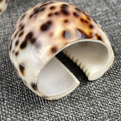 Set of 6 Vintage Napkin Rings Holders Tiger Cowrie Shell