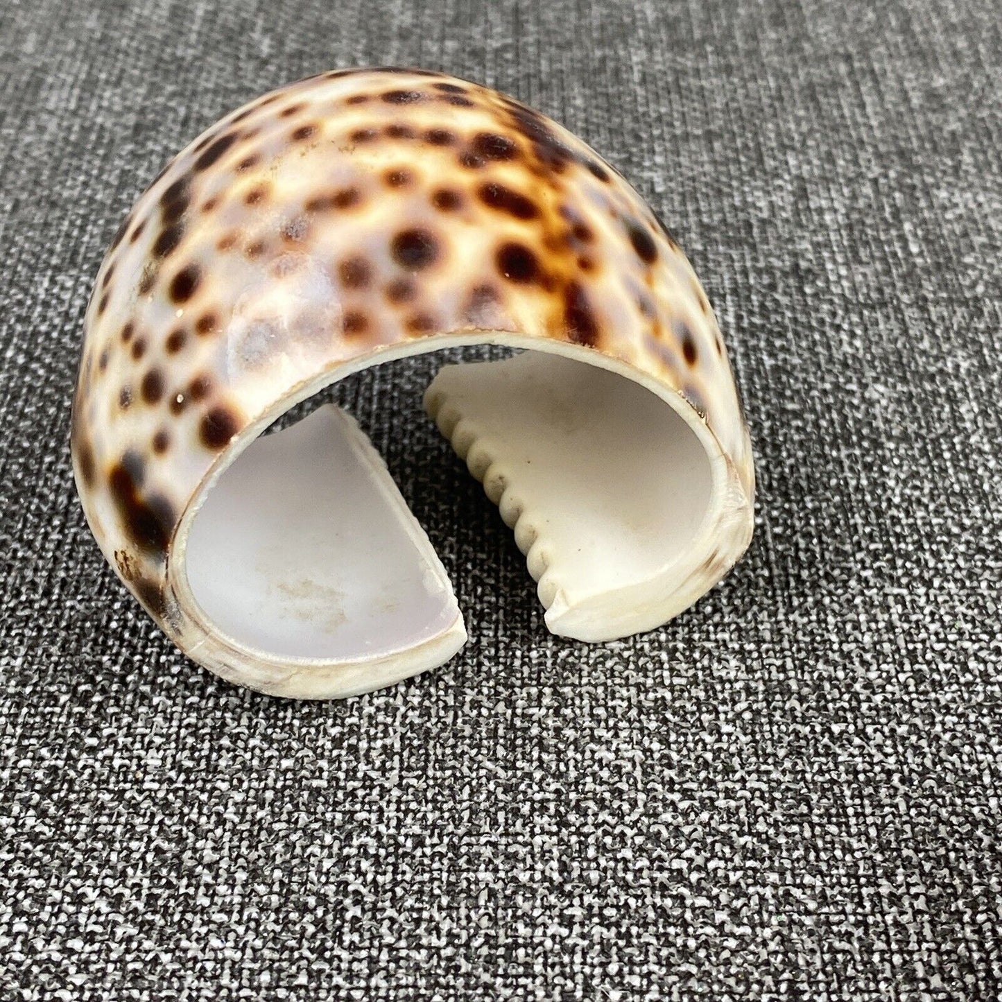 Set of 6 Vintage Napkin Rings Holders Tiger Cowrie Shell