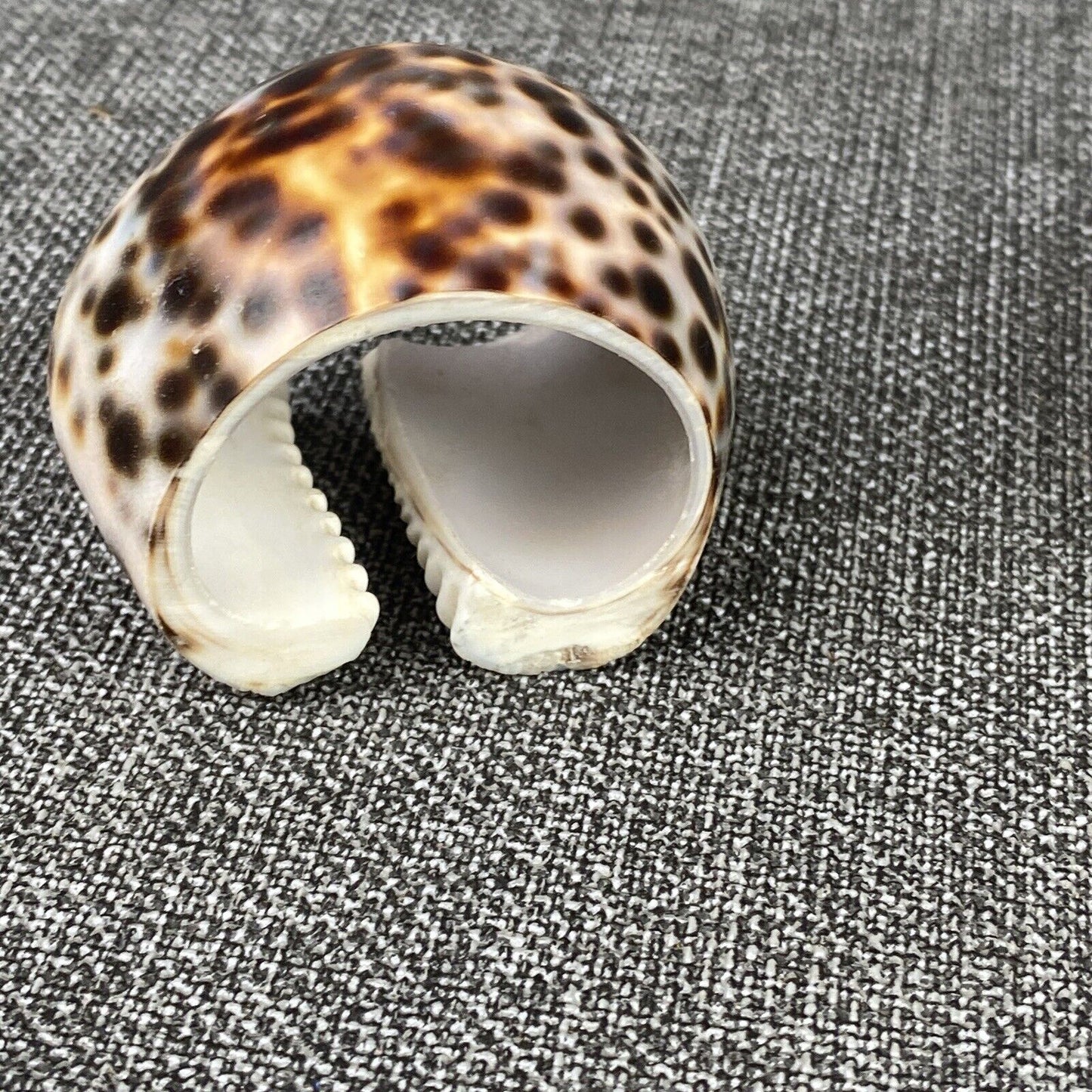 Set of 6 Vintage Napkin Rings Holders Tiger Cowrie Shell