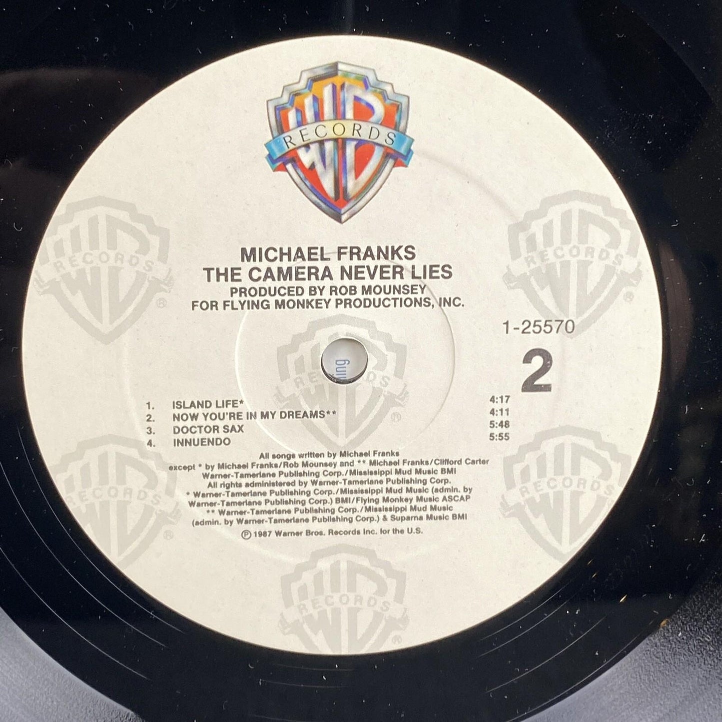 Michael Franks The Camera Never Lies , Promotional Vinyl Record 1987