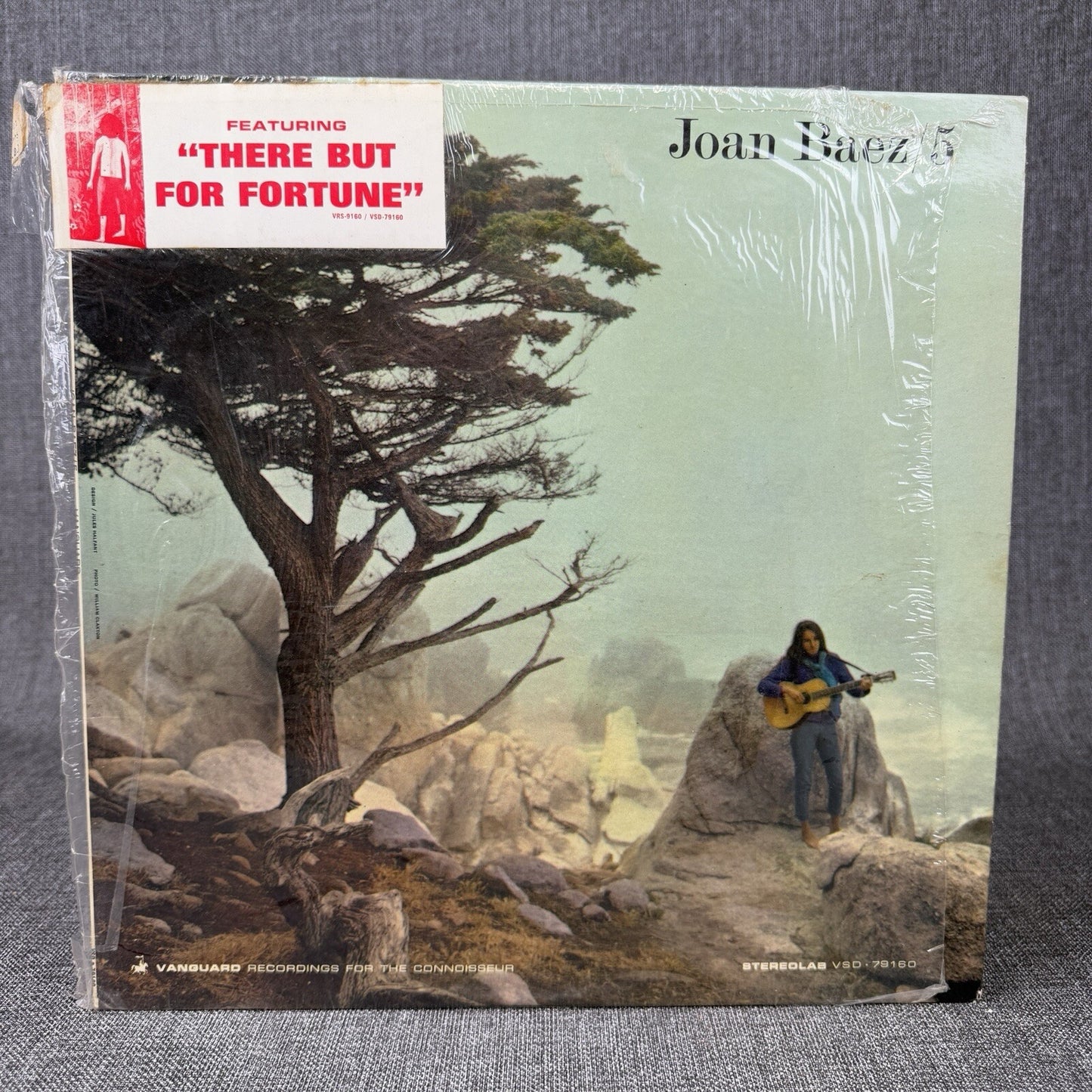 Joan Baez Accompanying Herself on the Guitar Vinyl Record 1964