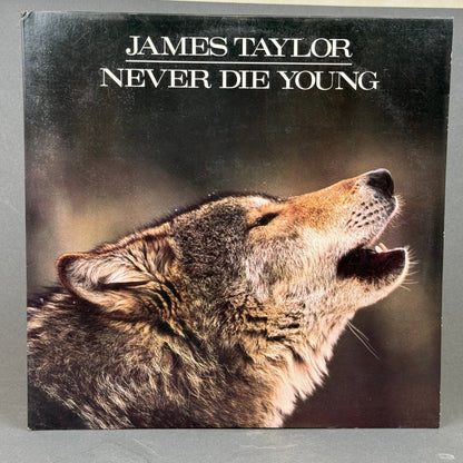 James Taylor Never Die Young Vinyl Record LP 12"1988 -NEAR MINT