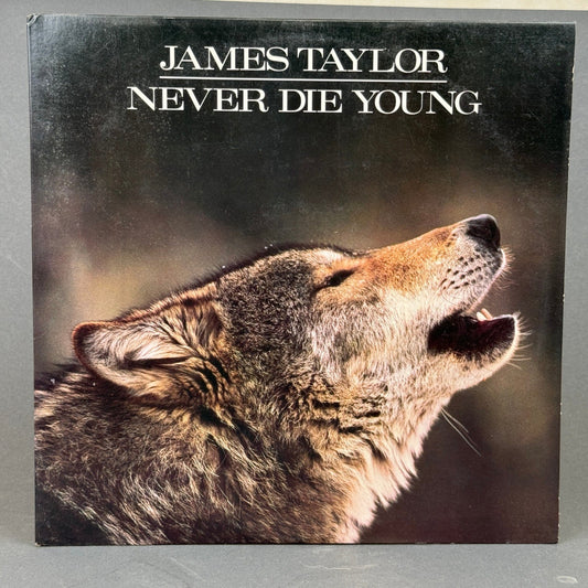 James Taylor Never Die Young Vinyl Record LP 12"1988 -NEAR MINT