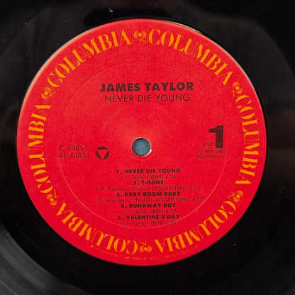 James Taylor Never Die Young Vinyl Record LP 12"1988 -NEAR MINT