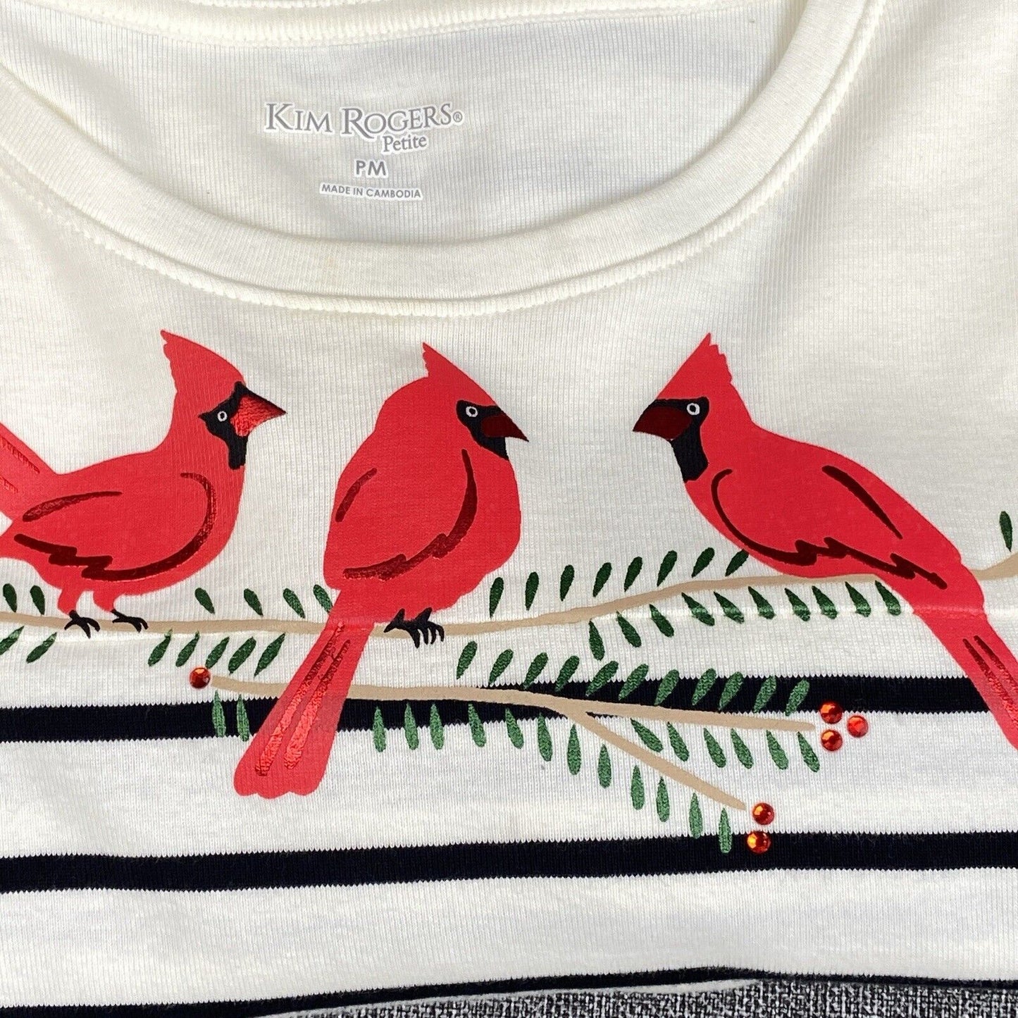 KIM ROGERS Red Cardinals Birds Womens Top PM