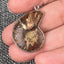 Necklace Shell Pendant (Real)