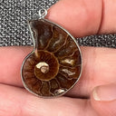 Necklace Shell Pendant (Real)