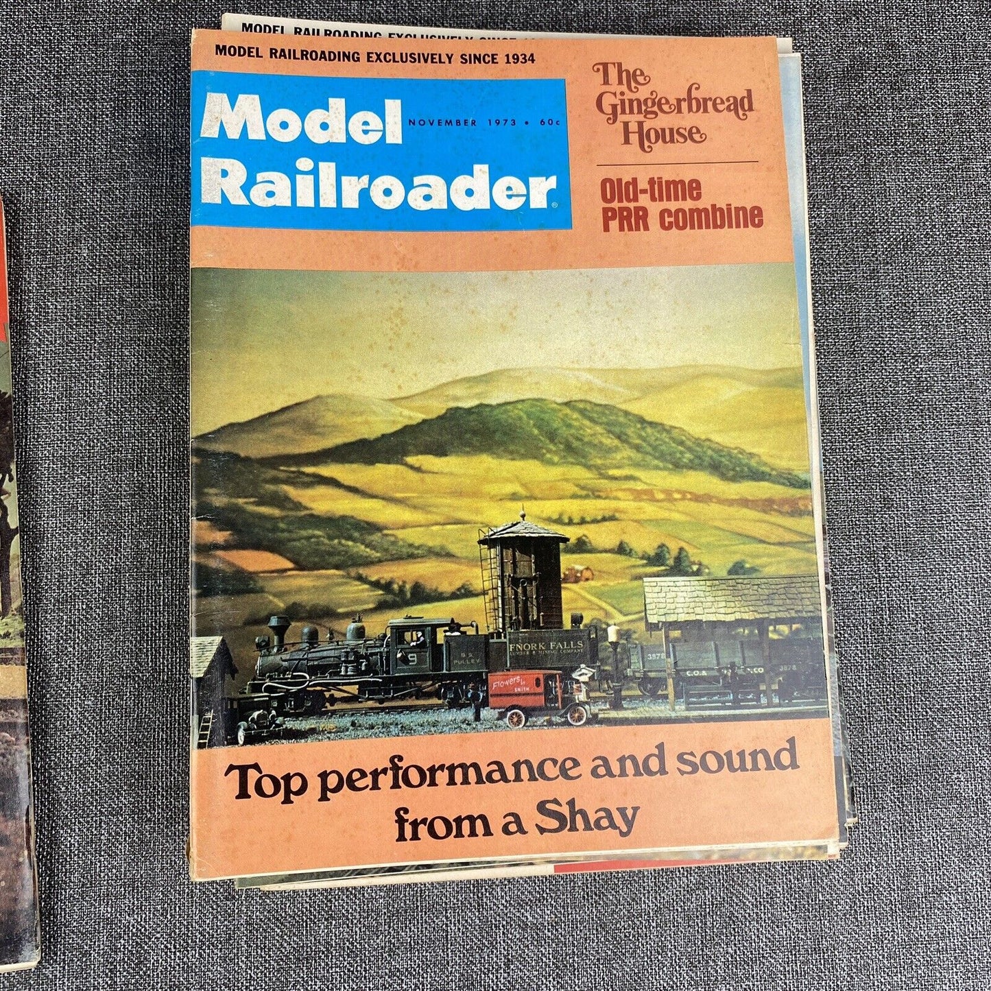 Model Railroader Magazine 1973  ALL 12 ISSUES  (Vintage)