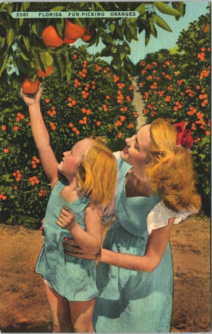 Vintage Postcard 'Florida Fun-Picking Oranges' RD Pope