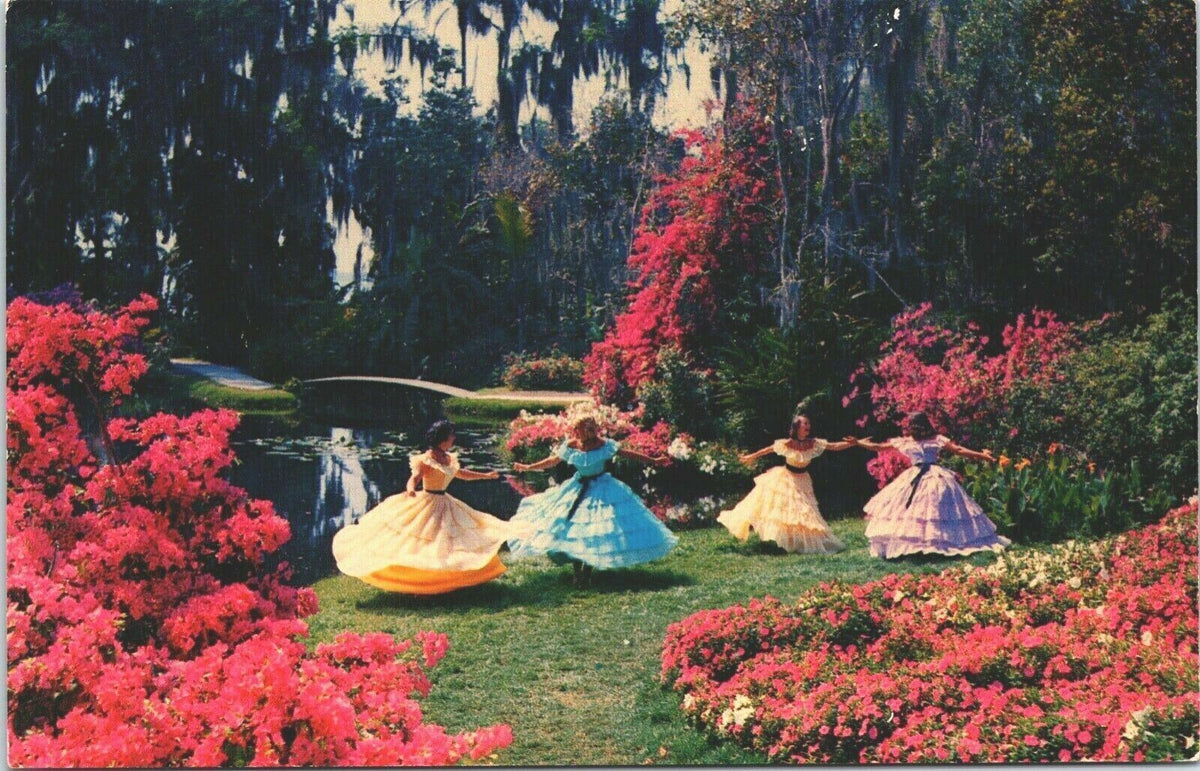 Vintage Postcard Azaleas Petunias Southern Belles Cypress Gardens Florida