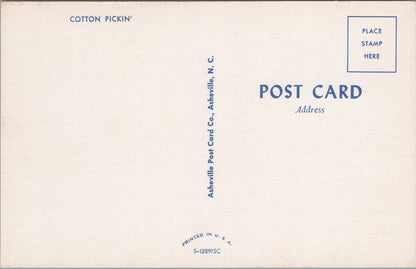 Postcard Cotton Pickin' Asheville Post Card Co (Cotton Picking)