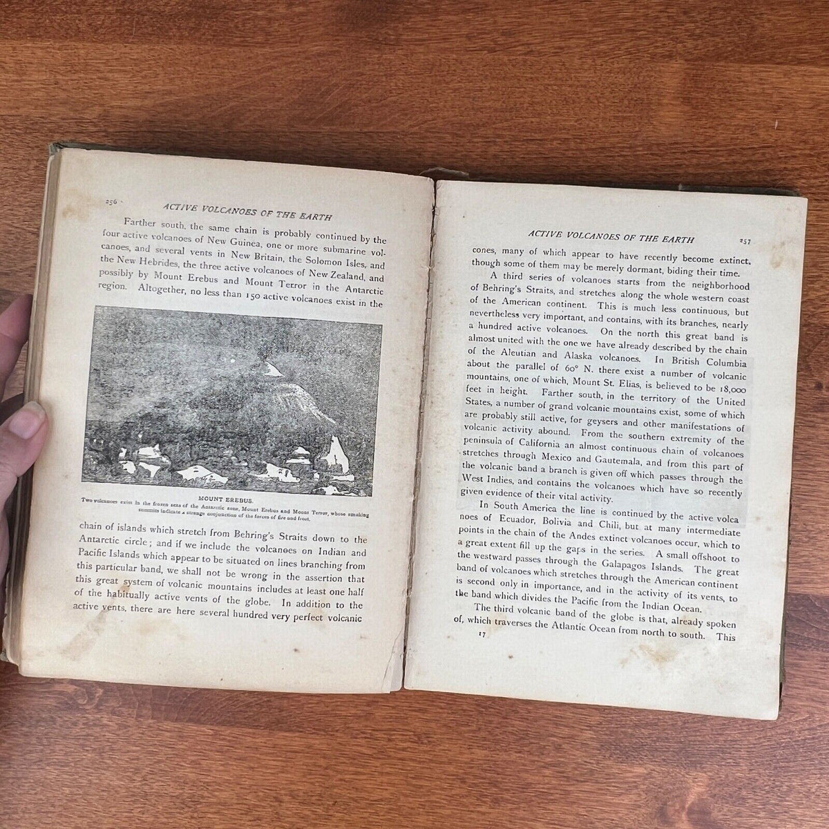 1906 Antique, The San Francisco Calamity  Earthquake & Fire by Charles Morris