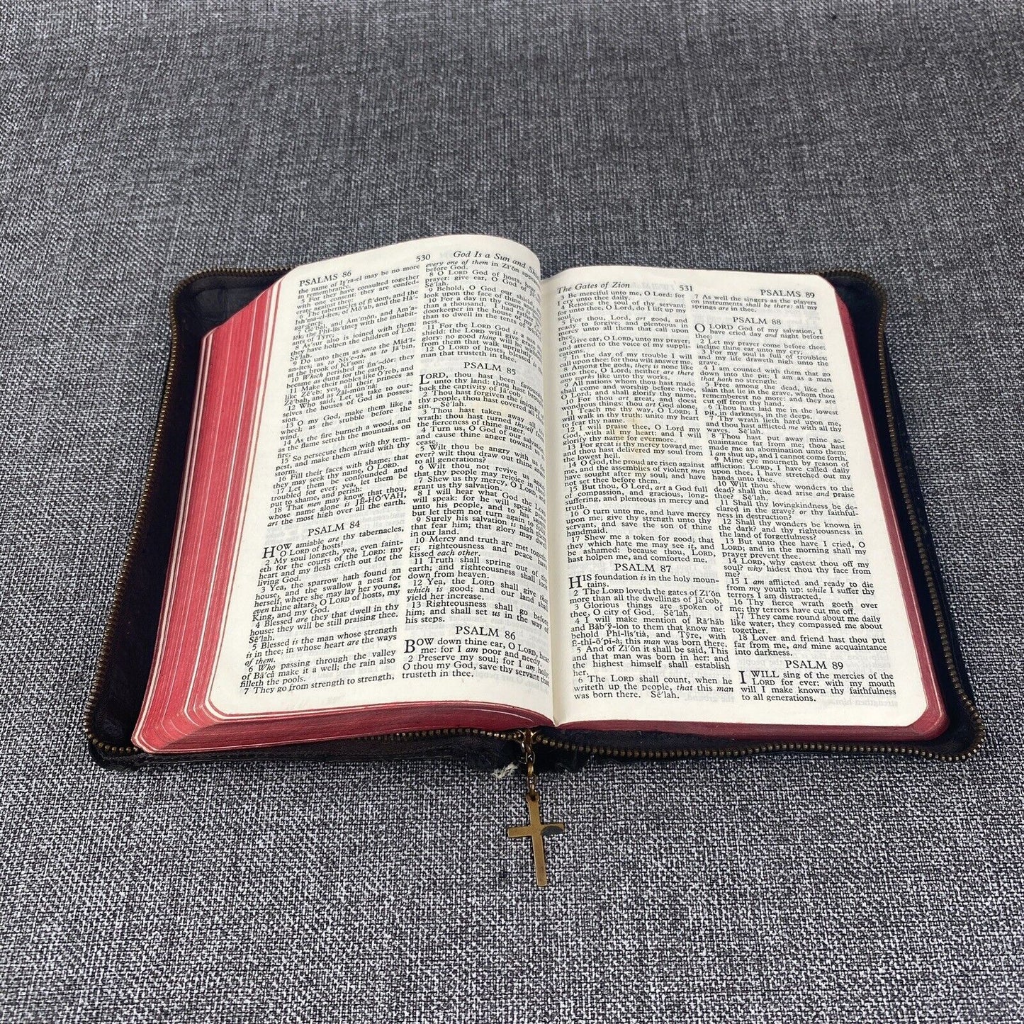 Holy Bible Red Letter KJV Color Pictures Self Pronouncing KJV VTG Zipper