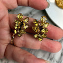 Vintage Golden Amber Color Clip On Earrings